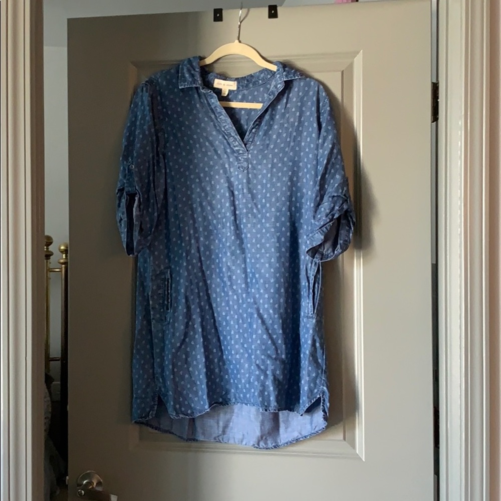 Anthropologie denim dress with pockets